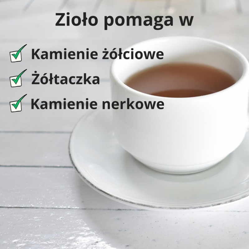 Korzeń Mniszka lekarskiego - 100g