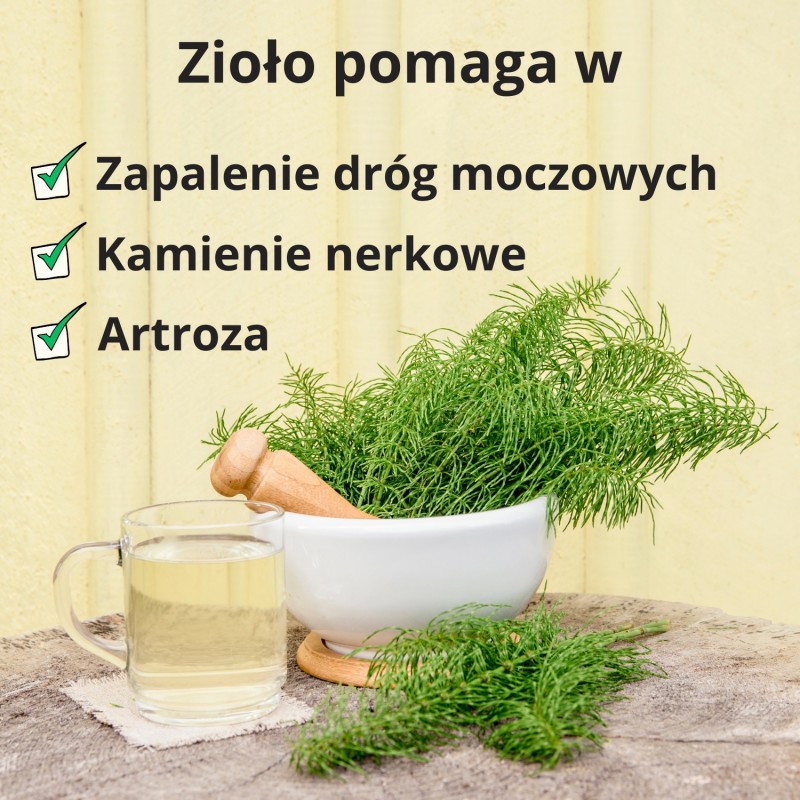 Łodyga Skrzypu polnego - 70g