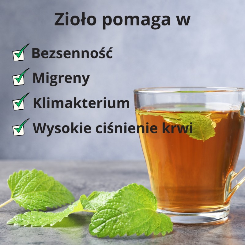 Melisa cytrynowa - 40g