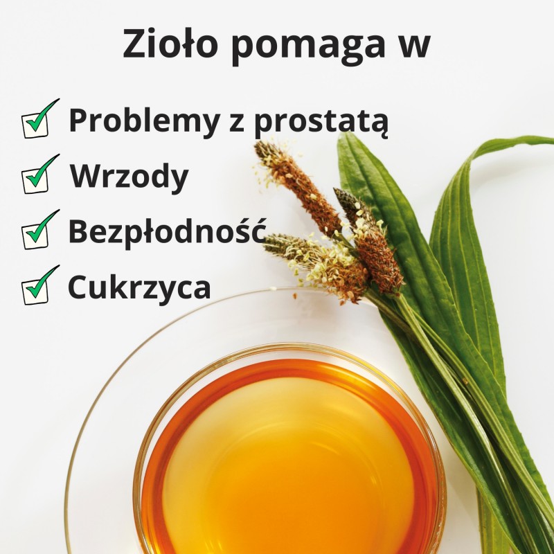 Babka lancetowata - 70g