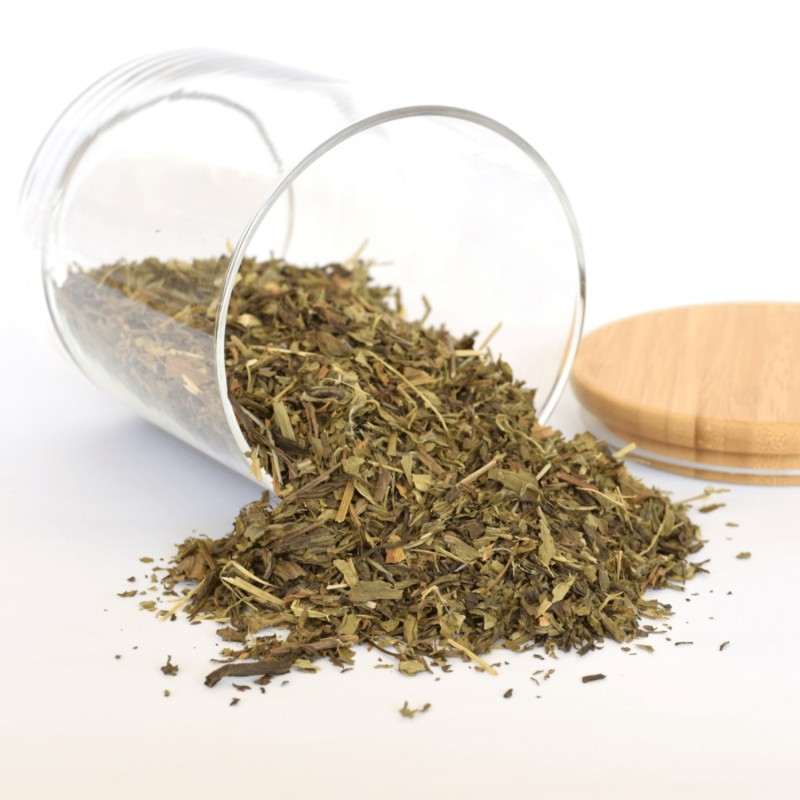 Babka lancetowata - 70g