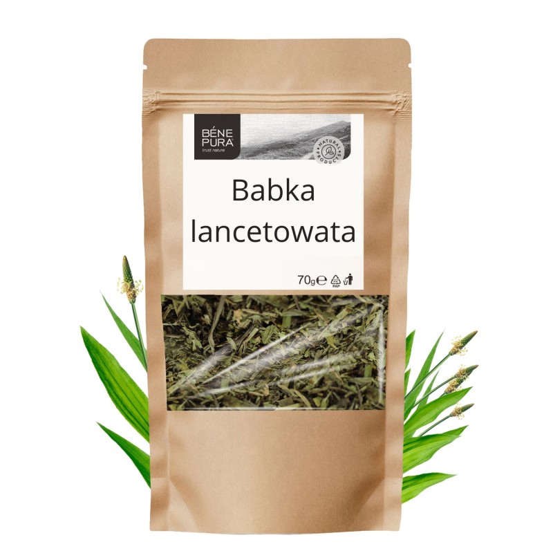 Babka lancetowata - 70g - Zioła