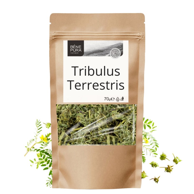 Tribulus Terrestris - 70g - Zioła