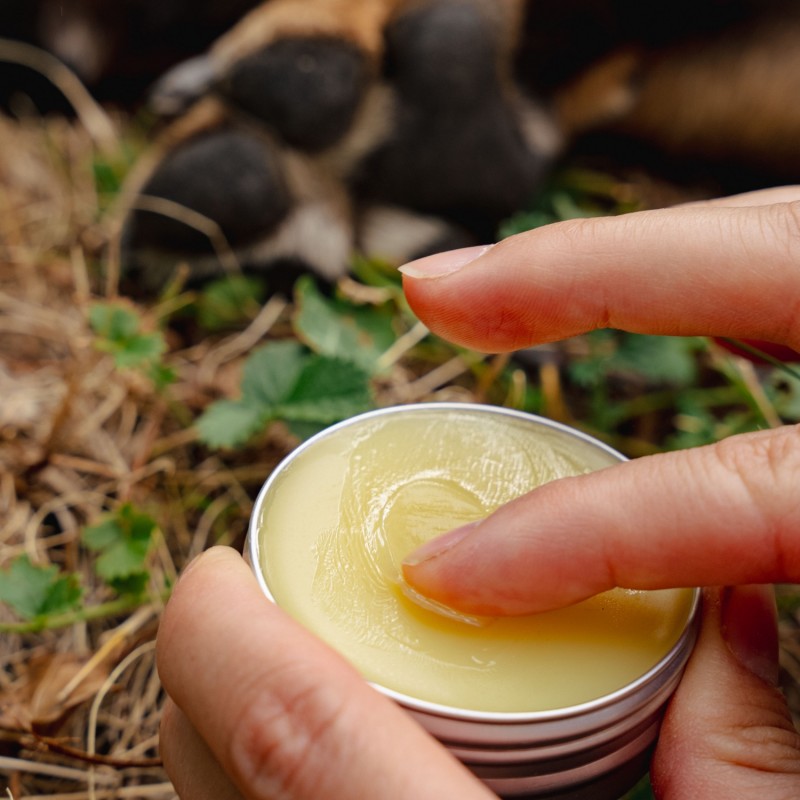 Regenerujący Balsam dla Zwierząt z Nagietkiem - 40ml