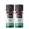 2x Bio Dzika Mięta Olejek eteryczny - 10ml