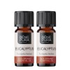 2x Bio Eukaliptus Radiata Olejek eteryczny - 10ml