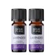 2x Bio Lawenda Olejek eteryczny - 10ml