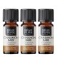 3x Bio Cynamon Olejek eteryczny - 10ml