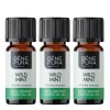 3x Bio Dzika Mięta Olejek eteryczny - 10ml