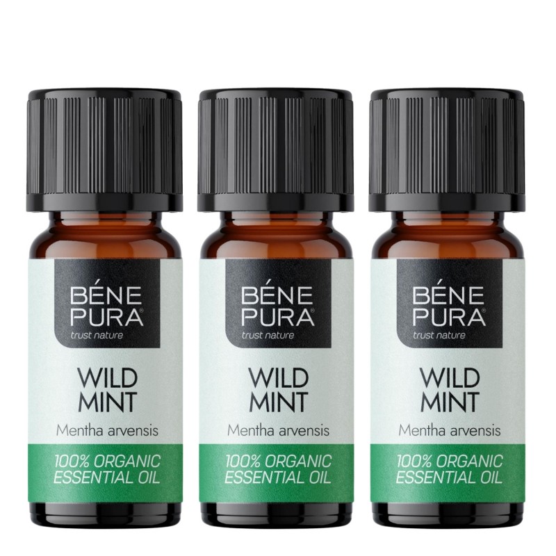 3x Bio Dzika Mięta Olejek eteryczny - 10ml