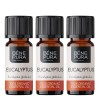 3x Bio Eukaliptus Gałkowy Olejek eteryczny - 10ml