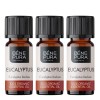 3x Bio Eukaliptus Radiata Olejek eteryczny - 10ml