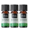 3x Bio Geranium Olejek eteryczny - 10ml