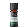 Bio Biały Krwawnik Olejek eteryczny - 10ml