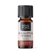 Bio Eukaliptus Cytrynowy Olejek eteryczny - 10ml