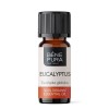 Bio Eukaliptus Gałkowy Olejek eteryczny - 10ml