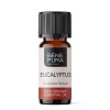 Bio Eukaliptus Radiata Olejek eteryczny - 10ml