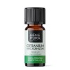 Bio Geranium Olejek eteryczny - 10ml