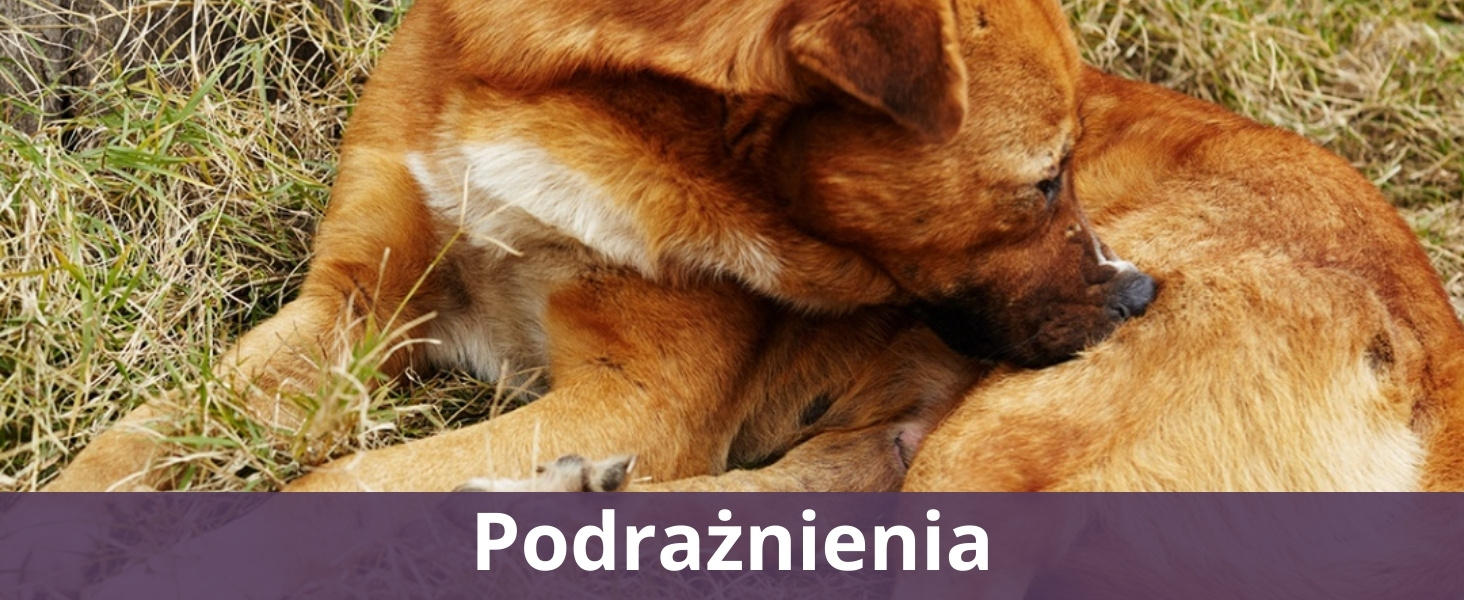 Podrażnienia