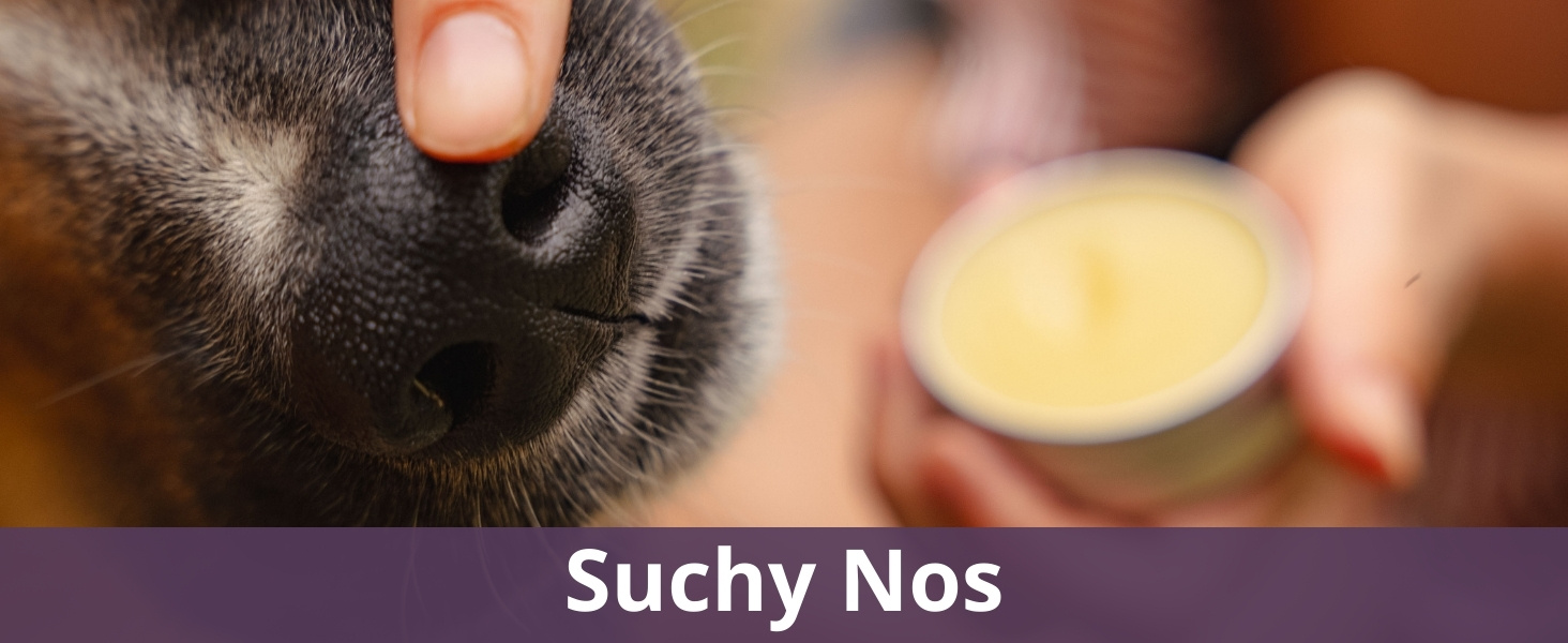 Suchy Nos