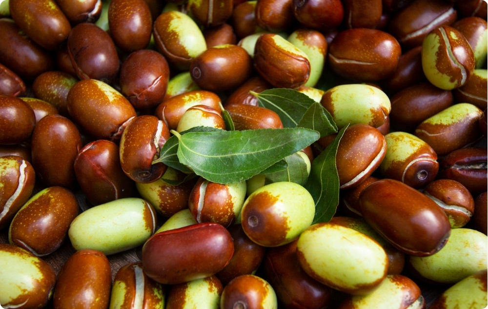 W czym pomaga olejek Nośnikowy Jojoba?