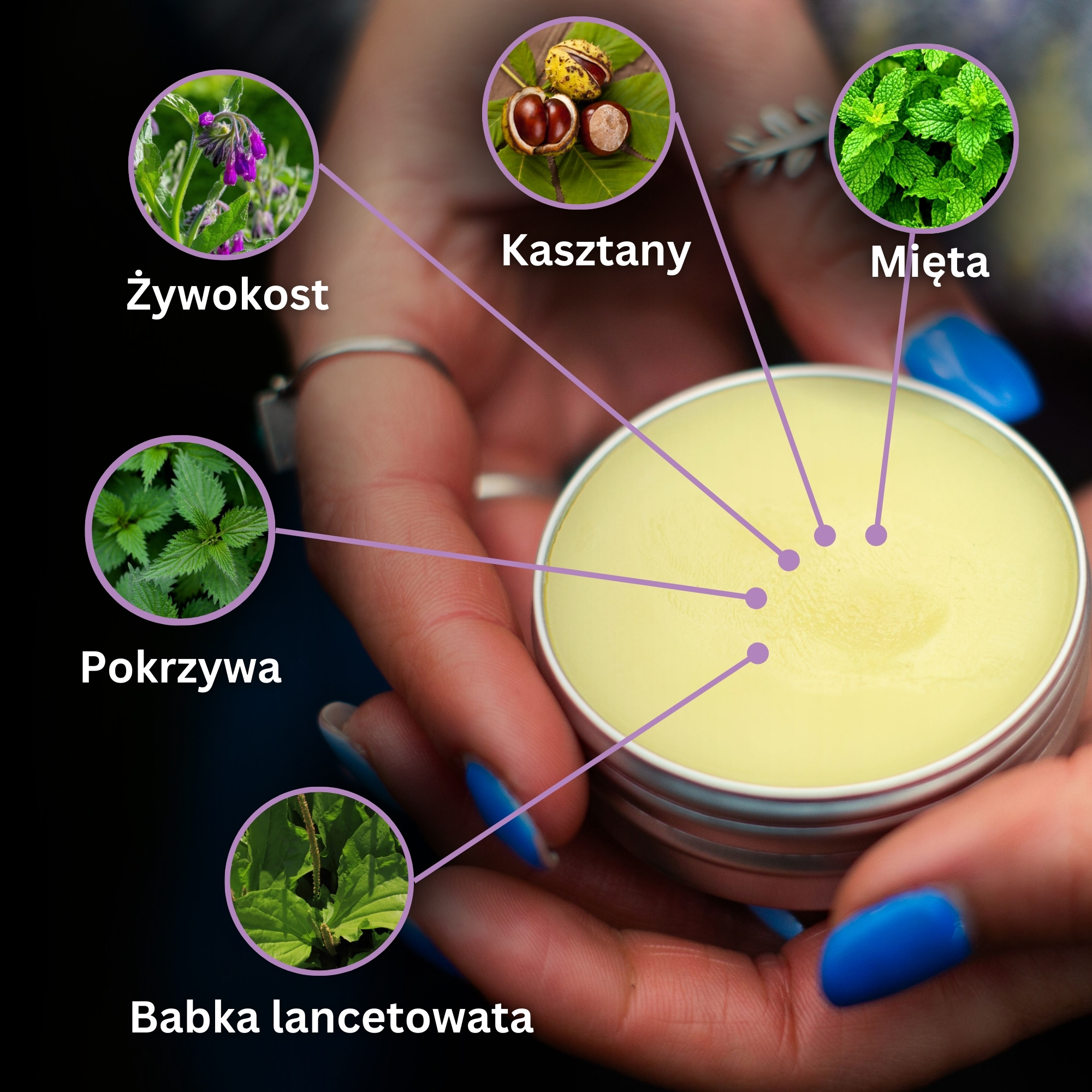 Zestaw "Maści na Ból stawów, Mięśni i Siniaki 2"